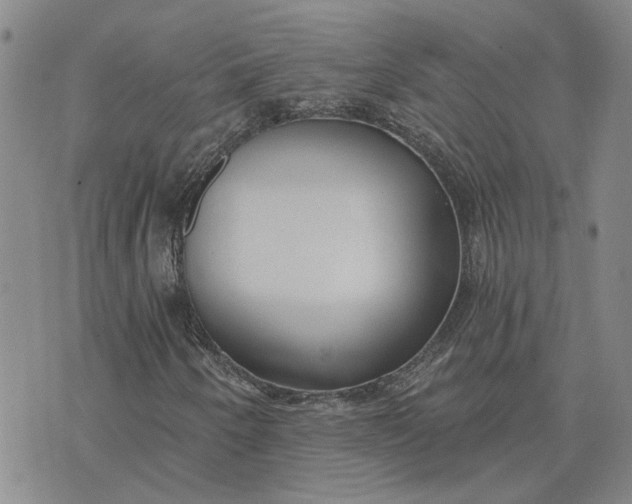 X0000075351250200609251028