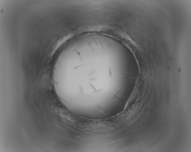 X0000075351256200609251028