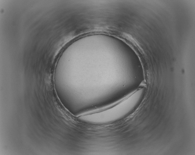 X0000075351260200609251028