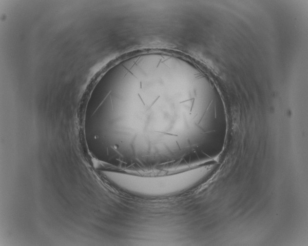 X0000075351264200609251028
