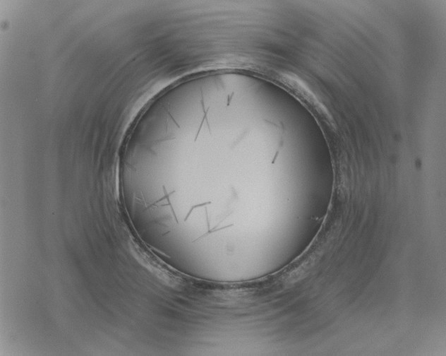 X0000075351276200609251028