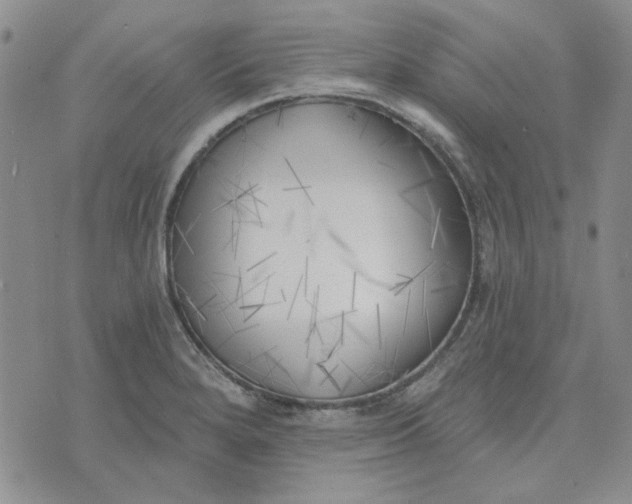 X0000075351280200609251027
