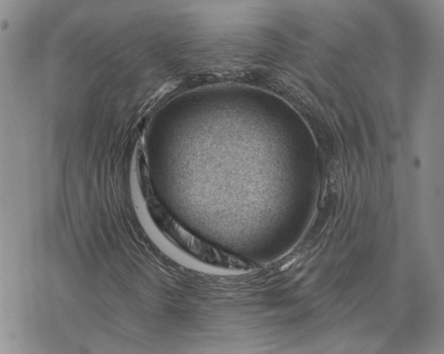 X0000075351298200609251026