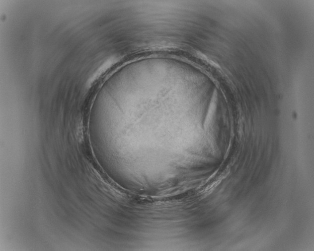 X0000075351306200609251027