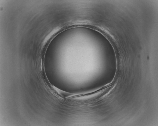 X0000075351317200609251027