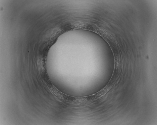 X0000075351346200609251026