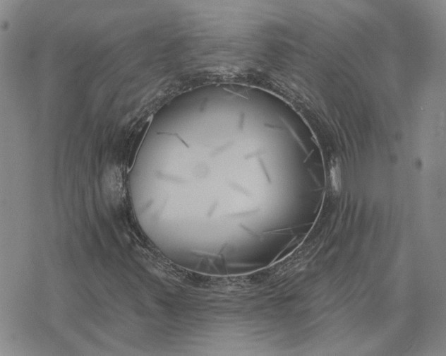 X0000075351347200609251026