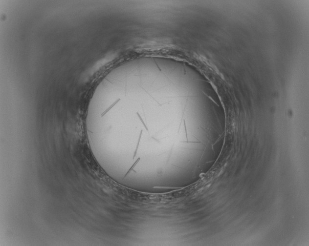 X0000075351350200609251026