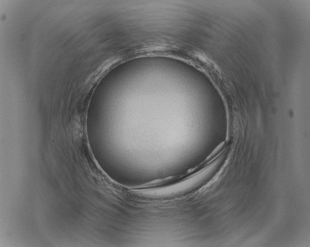 X0000075351353200609251026
