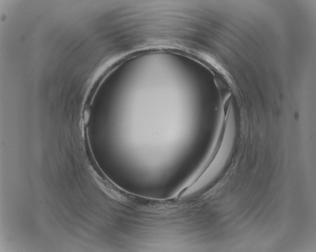 X0000075351372200609251026