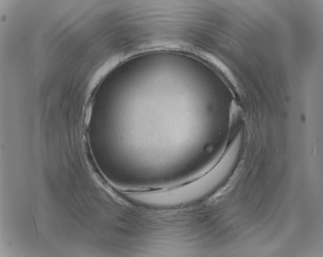 X0000075351373200609251026