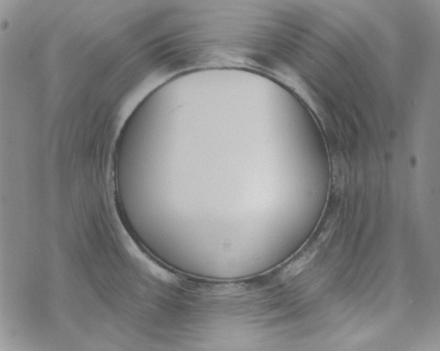 X0000075351387200609251026
