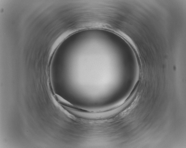 X0000075351389200609251026