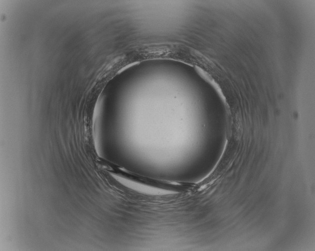 X0000075351394200609251025