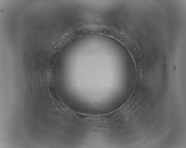 X0000075351397200609251025