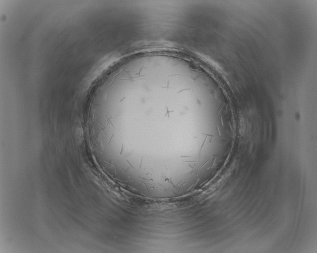 X0000075351407200609251025