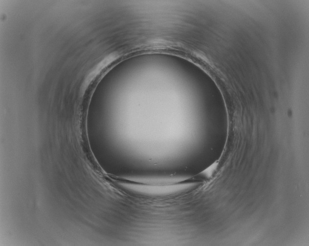 X0000075351410200609251025