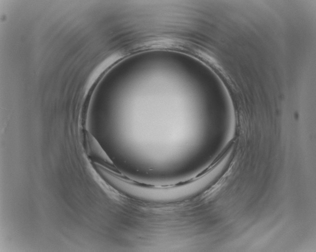 X0000075351426200609251025