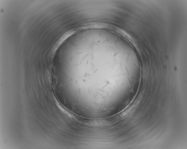 X0000075351433200609251026
