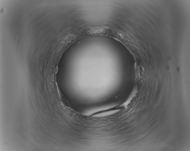 X0000075351441200609251025