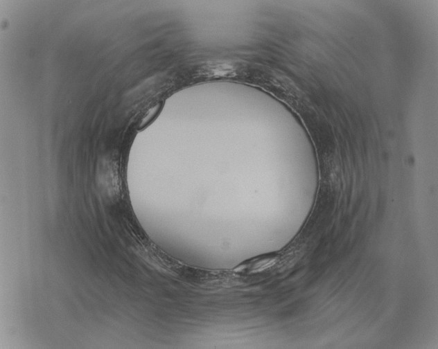 X0000075351442200609251025
