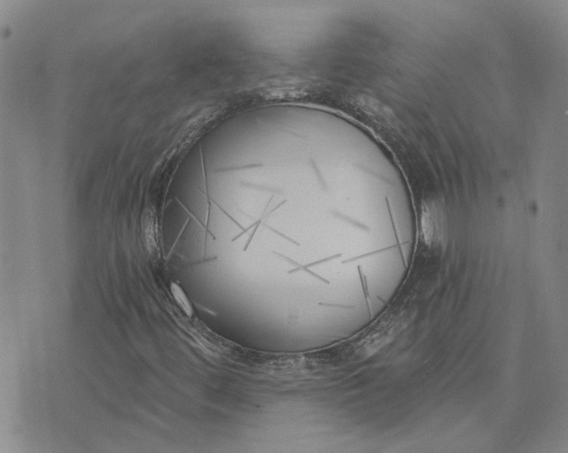 X0000075351444200609251025