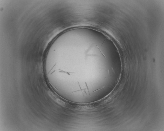 X0000075351460200609251025