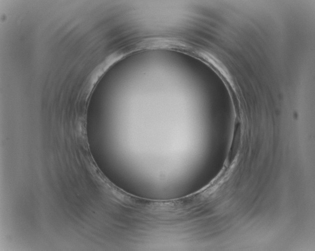X0000075351481200609251024