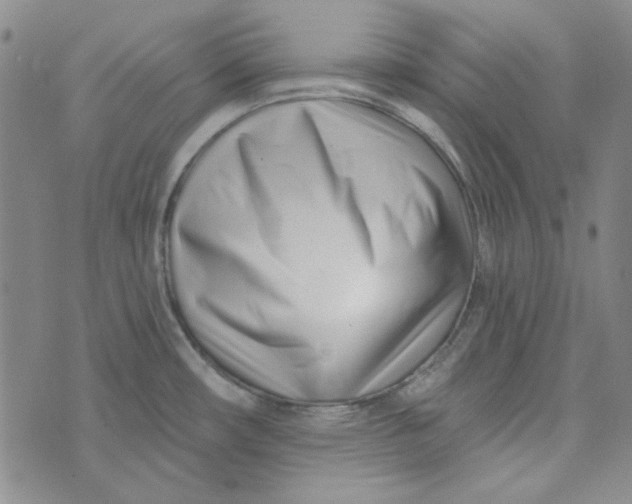 X0000075351482200609251024