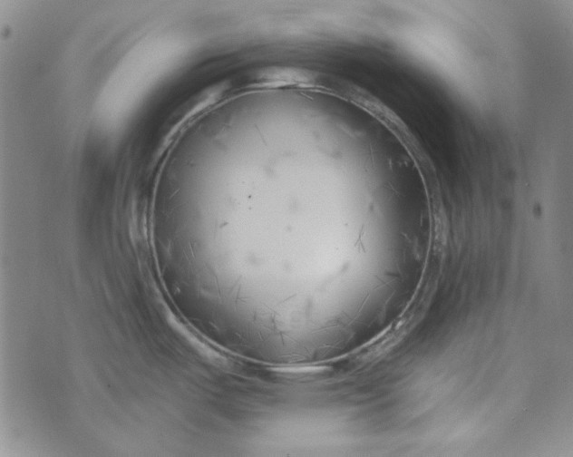X0000075351487200609251024