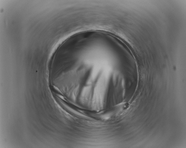 X0000075351508200609251024