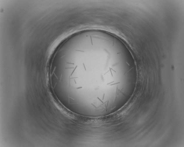 X0000075351511200609251024