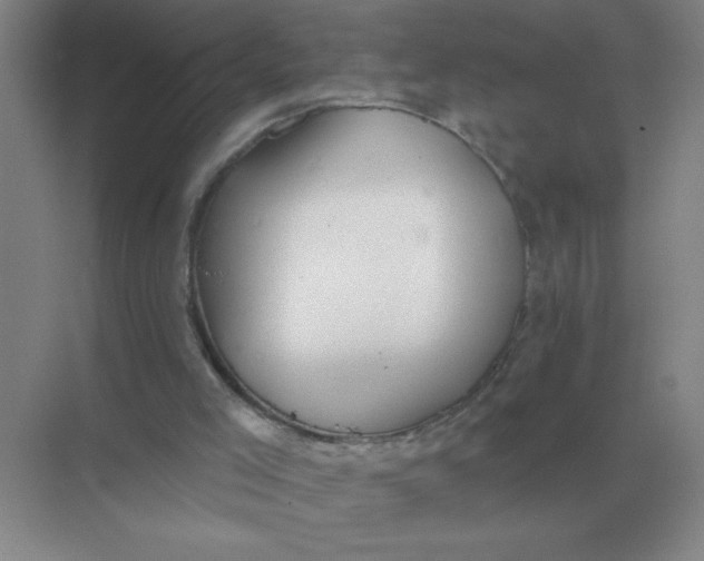 X0000075350005200609292113