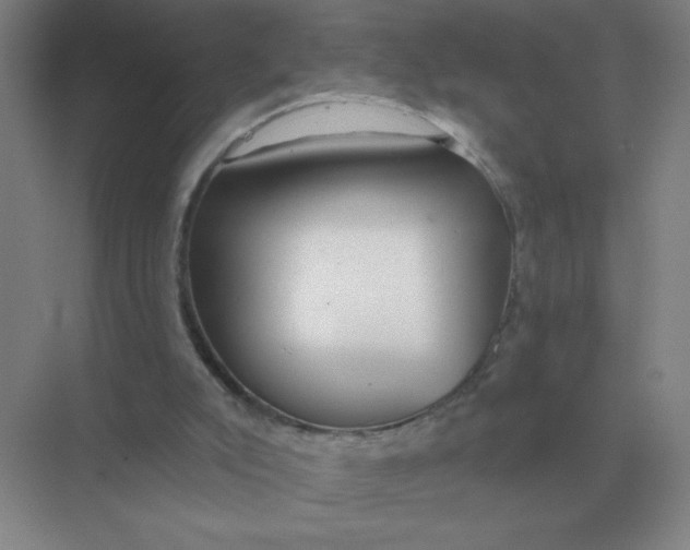X0000075350007200609292113