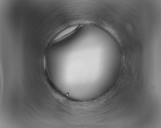 X0000075350013200609292113