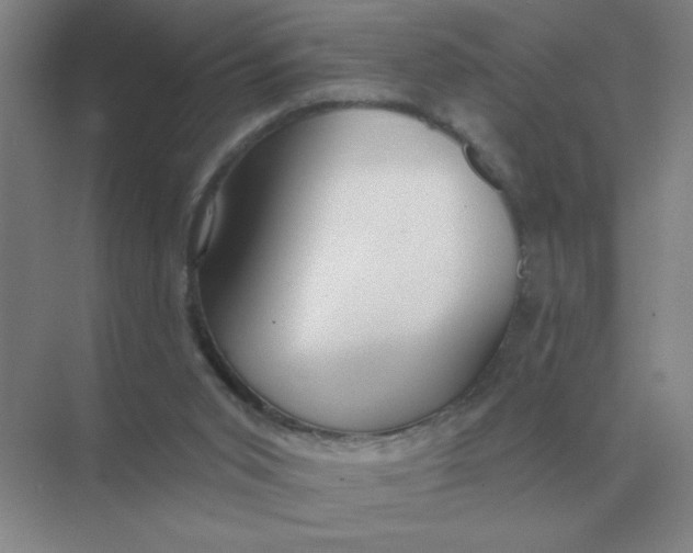 X0000075350015200609292113