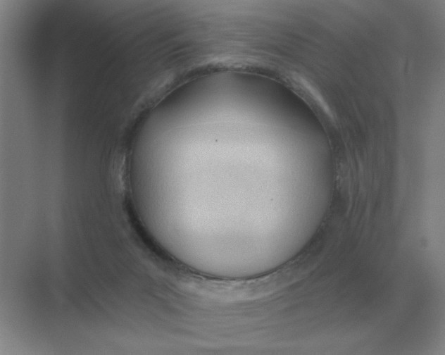 X0000075350023200609292112