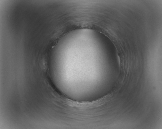X0000075350039200609292112