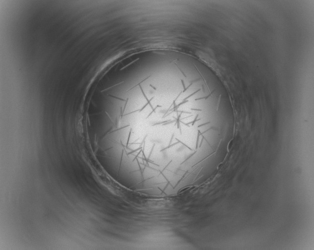 X0000075350050200609292111