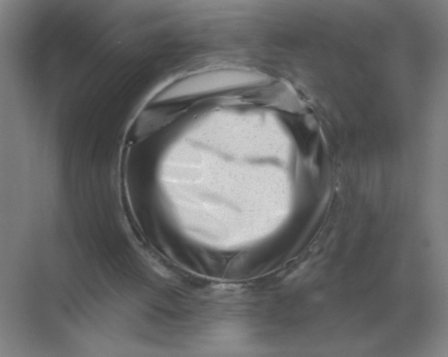 X0000075350052200609292111