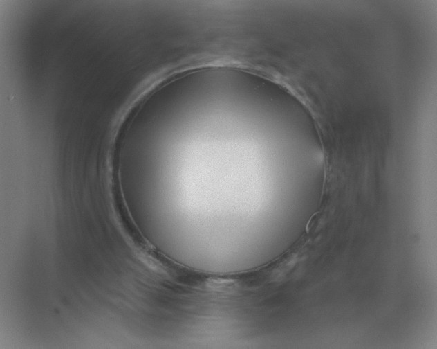 X0000075350055200609292111