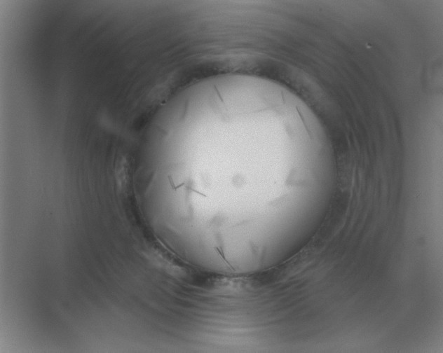 X0000075350077200609292112