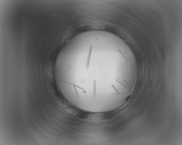 X0000075350078200609292112