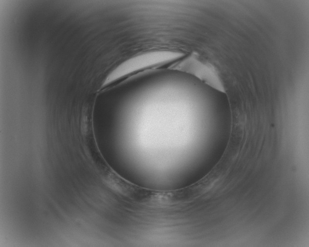 X0000075350080200609292112