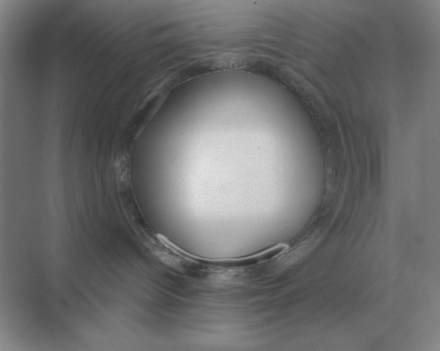 X0000075350096200609292112