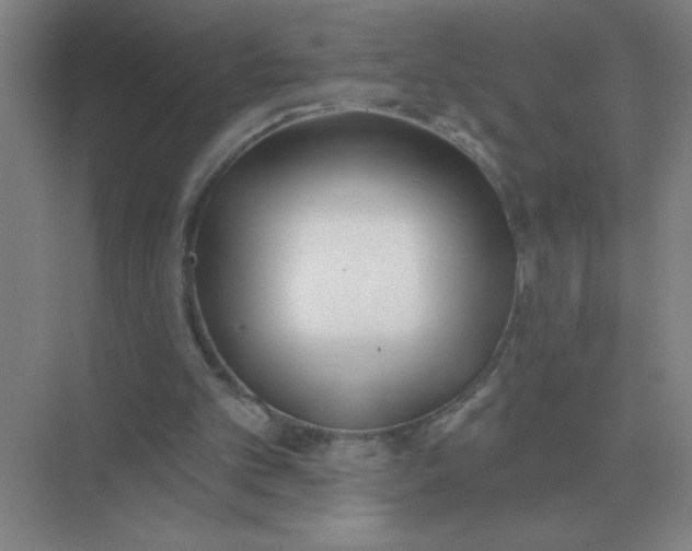 X0000075350101200609292111