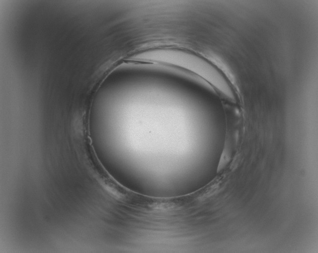X0000075350105200609292111
