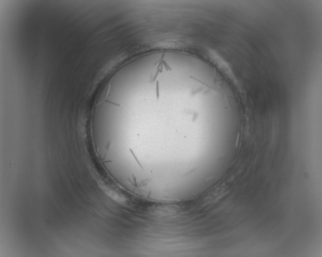 X0000075350106200609292111