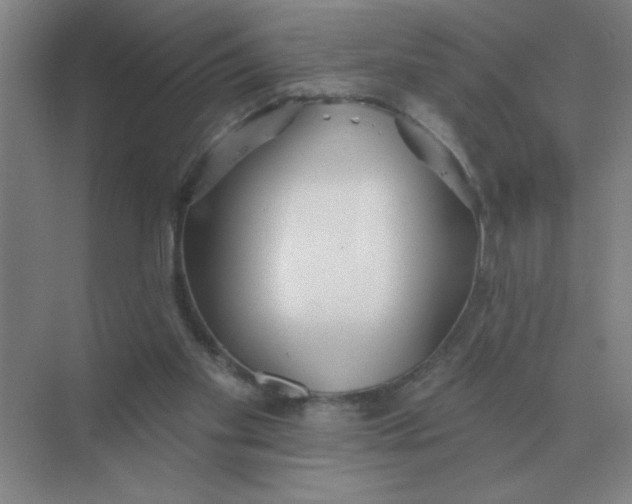 X0000075350109200609292111
