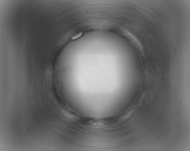 X0000075350113200609292111